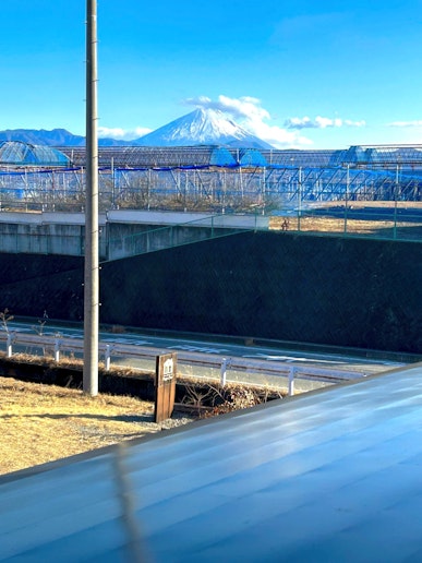 【富士山を眺める窓】からの風景