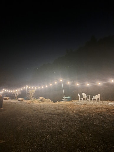 川沿いの丸太のベンチ