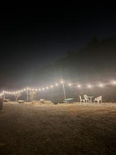 川沿いの丸太のベンチ