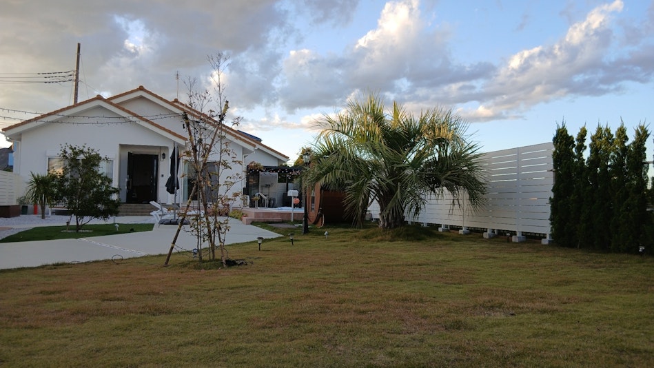 芝生、ドグラン