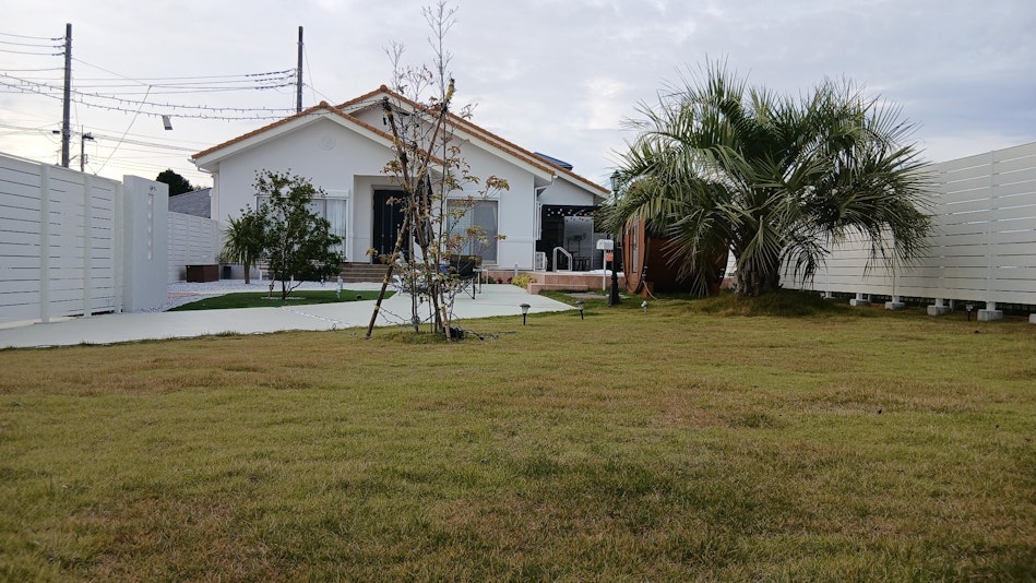 芝生とヤシの木と家