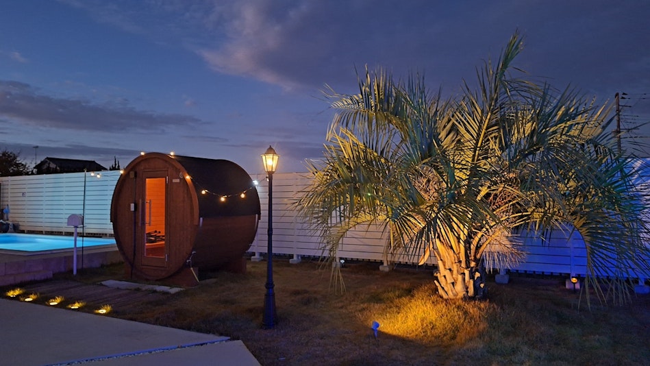 ヤシの木、サウナ