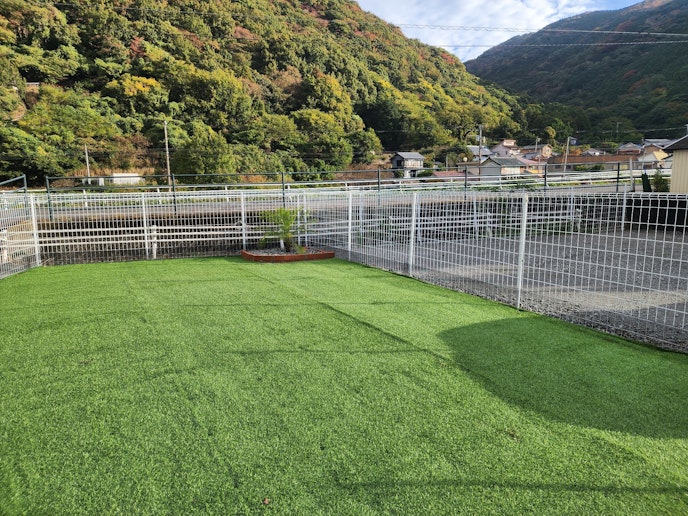 山に囲まれた環境でワンちゃんものびのびと遊べます。