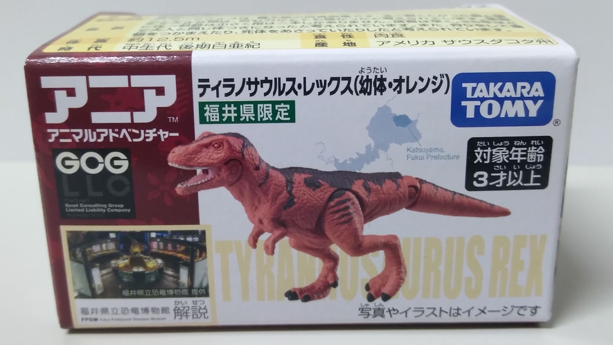 【福井県限定】アニア　ティラノサウルス・レックス（幼体・オレンジ）