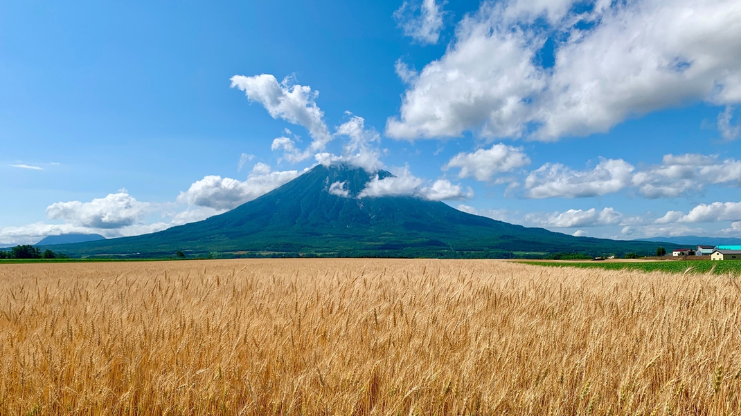 ［夕食付］［朝食なし］羊蹄山登山！早出する方へ・夕食はお腹いっぱいビストロフレンチ【冷房エアコン付】