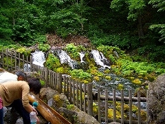 京極/ふきだし公園