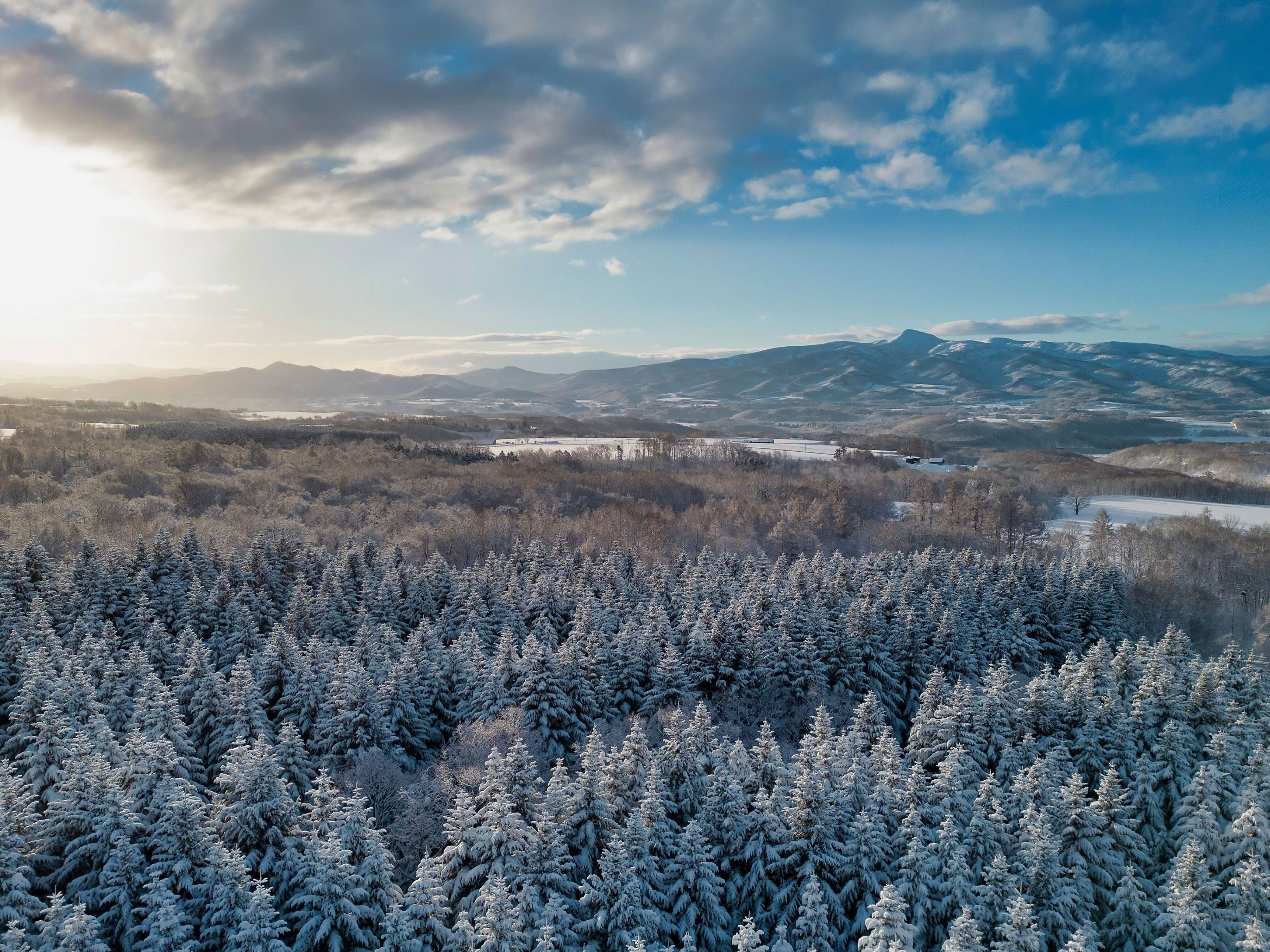 雪景色