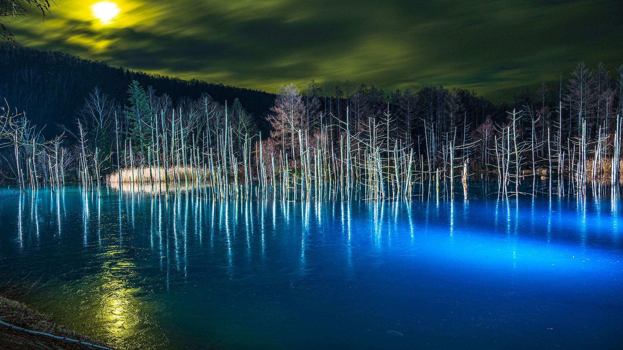 【美瑛地区・白金青い池】期間限定で時期によってはライトアップも実施。当館からお車で約1時間。