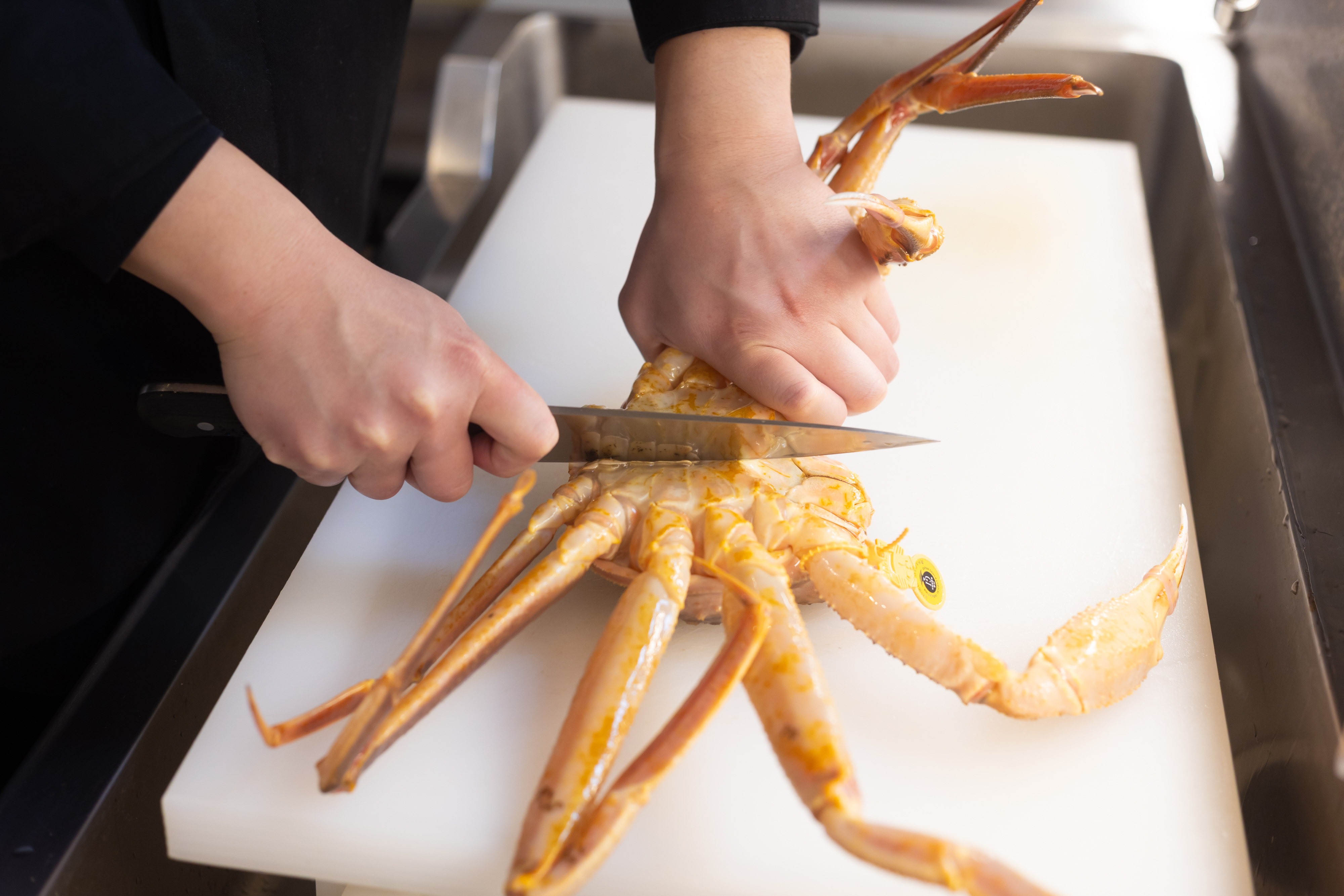 越前蟹を捌く様子