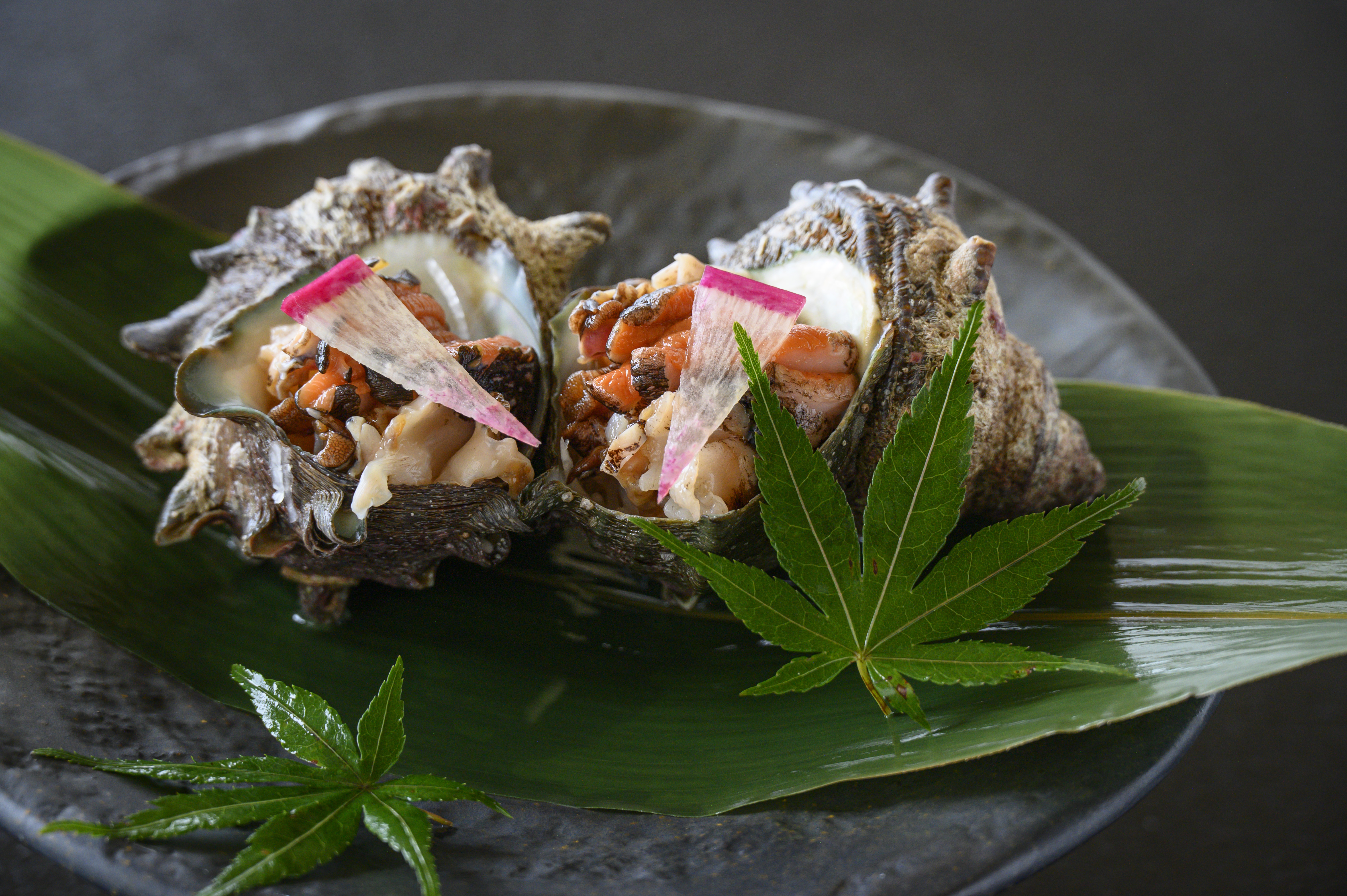 福井県産サザエ刺身