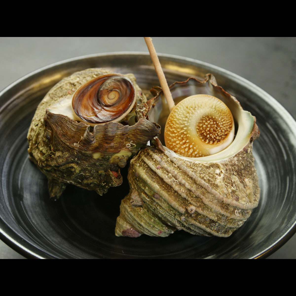 【旬魚焼物】旬彩とね会席-心kokoro-[1泊2食付]≪個室食≫