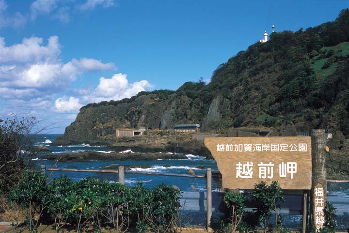 越前岬