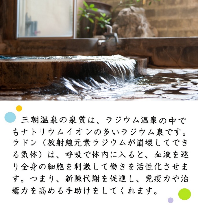 Hotel photo 30 of Kiya Ryokan.
