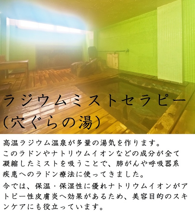 Hotel photo 37 of Kiya Ryokan.