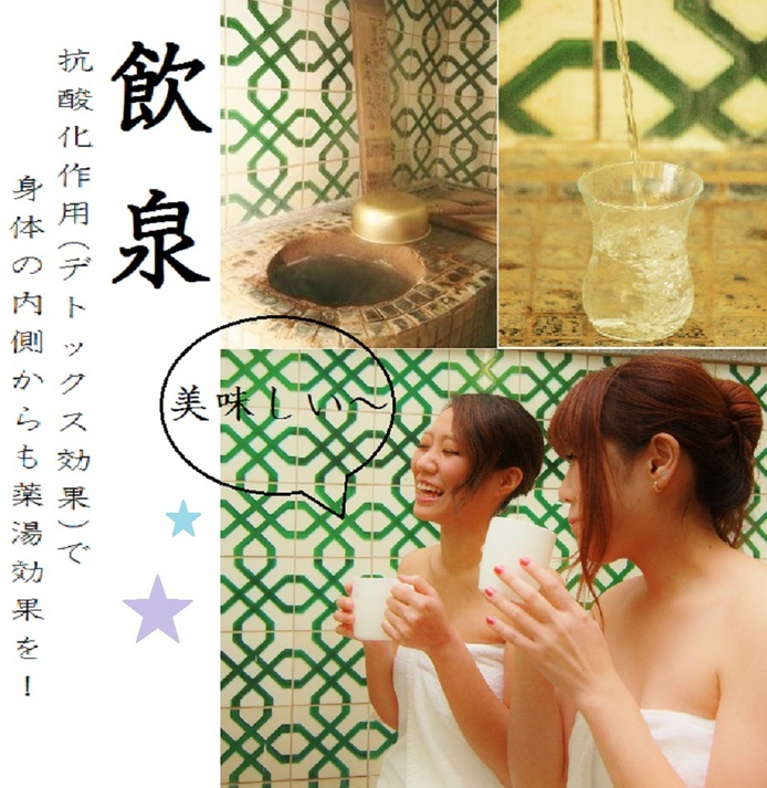 Hotel photo 41 of Kiya Ryokan.