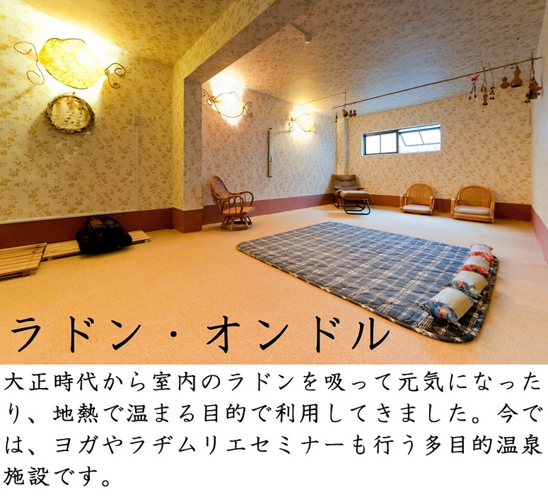 Hotel photo 35 of Kiya Ryokan.