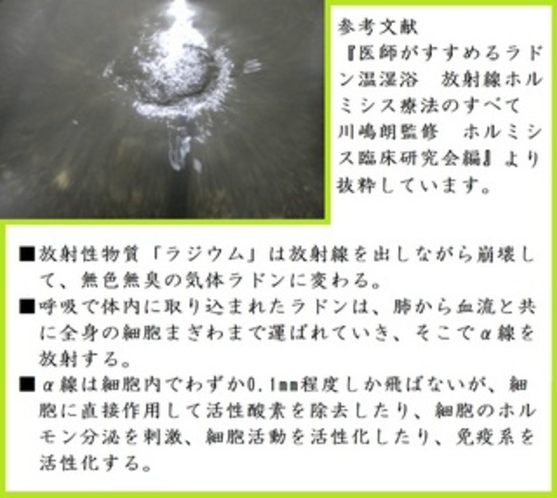 自噴の様子（楽泉の湯）（2014/10）