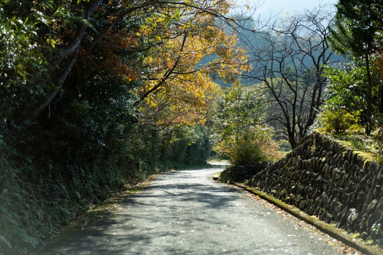 施設前の道路