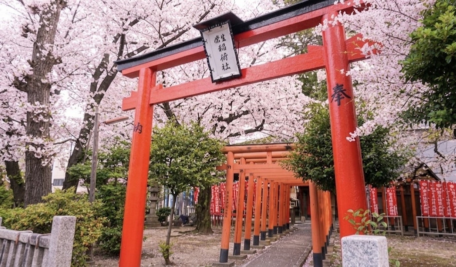 ホテルの向かい側の桜が楽しめる神社です