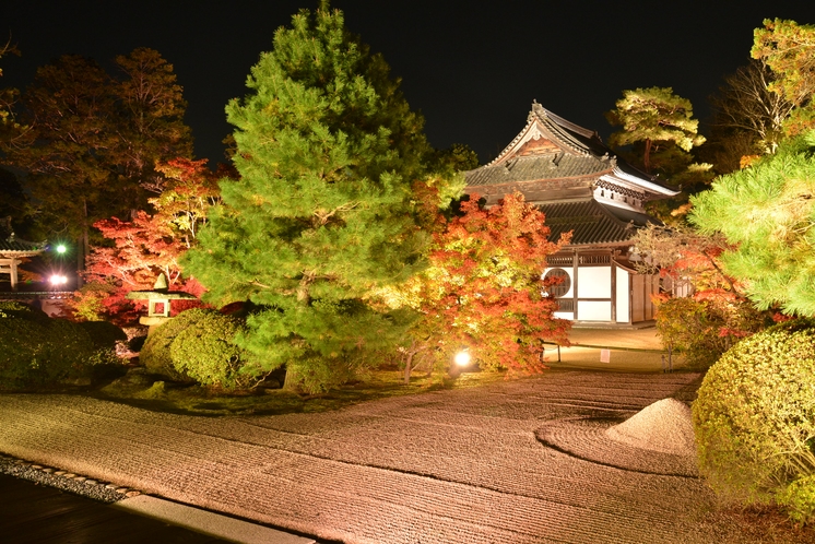 【秋】ライトアップされた宝福寺