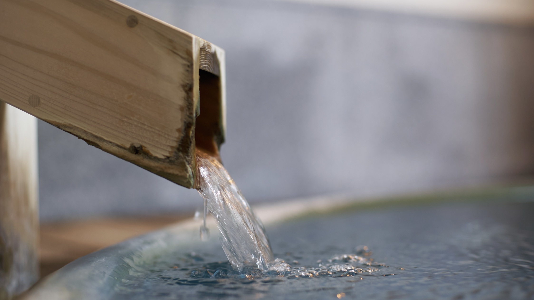 糸柳こやど ゆわ　遊び心あふれる和会席【基本プラン】