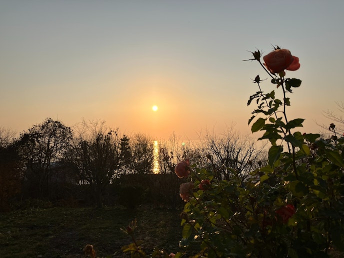 アシリアぺ洞爺（Ａｓｈｉｒｉａｐｅ　Ｔｏｙａ）　＾ - 写真 18