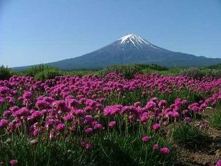 富士山　春