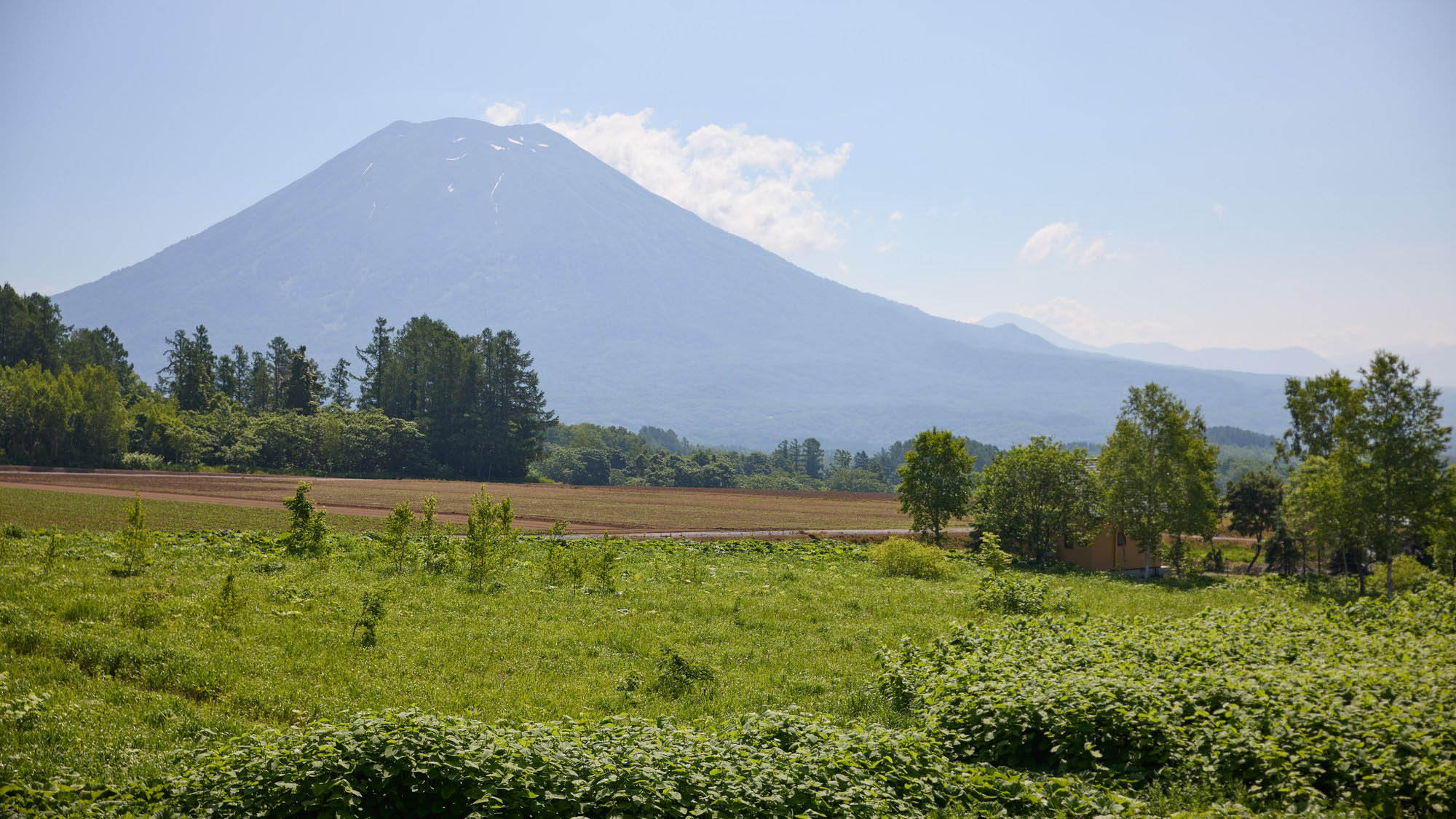 ・【周辺情報】羊蹄山