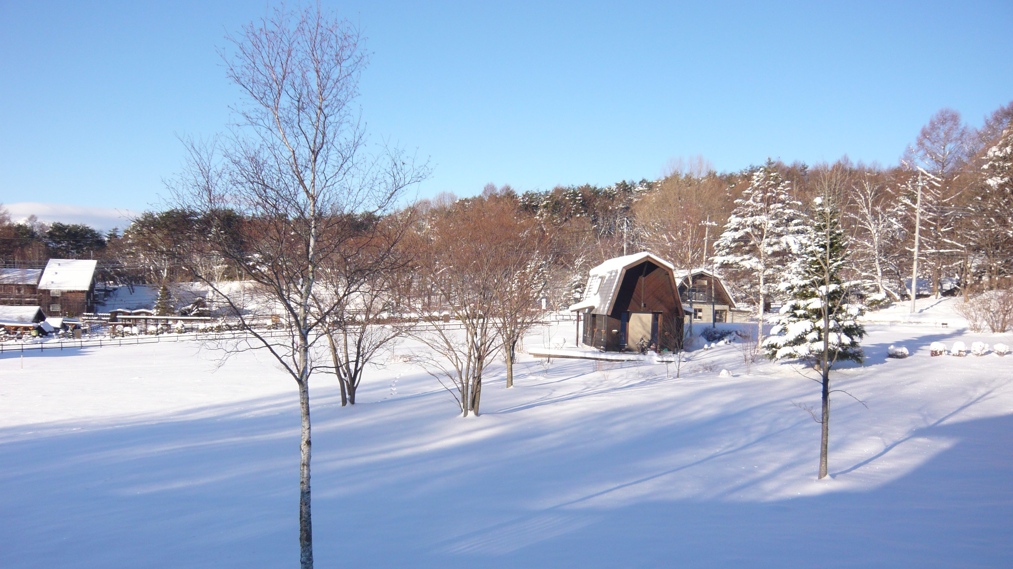 雪の季節は牧草地の眺めもガラッと変わります。