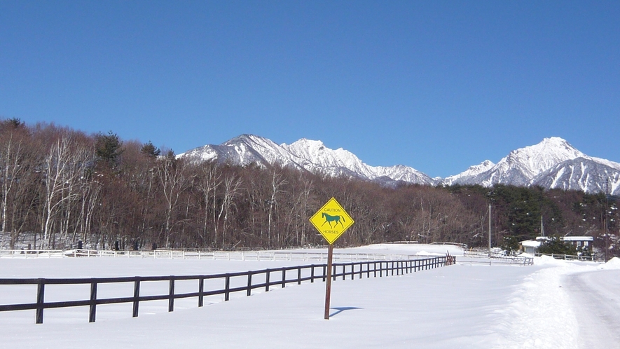 牧場通りから眺める雪の八ヶ岳。この抜けるような青空を「八ヶ岳ブルー」と呼びます。