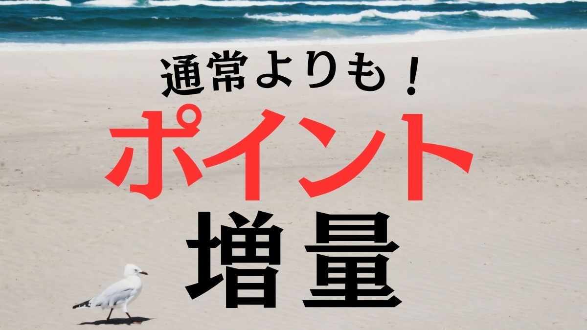 ◆【楽天ポイント２０倍】ポイントUPプラン！駐車場無料！ビジネス＆観光に便利！〈素泊り〉