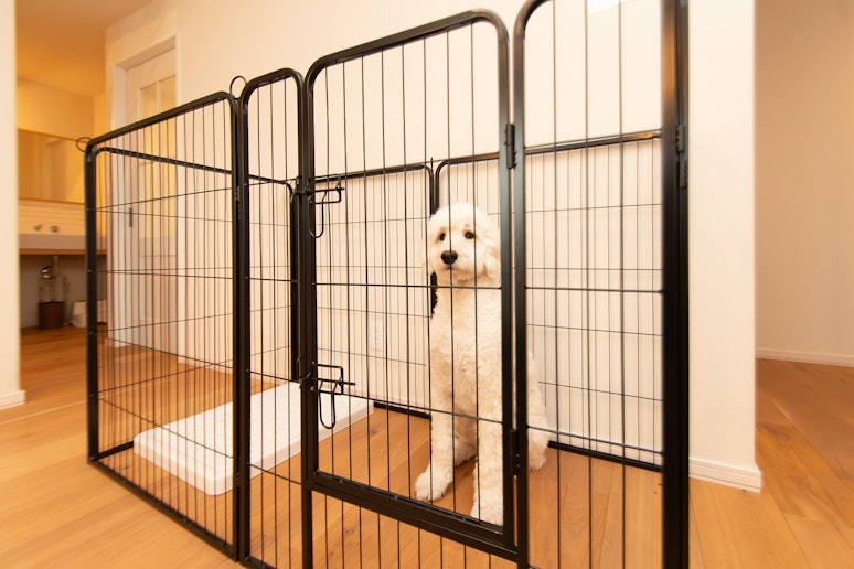 大型犬・超大型犬も対応可能
