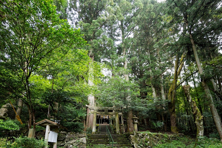 大杉の宿 ＾ - 写真 28