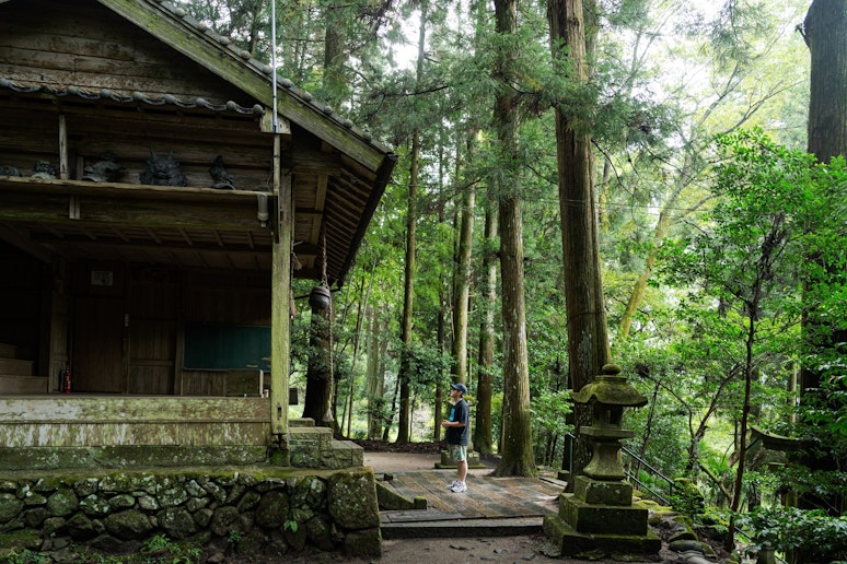 大杉の宿 ＾ - 写真 27