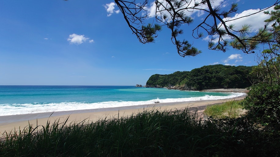 【外観】高浜の綺麗な海