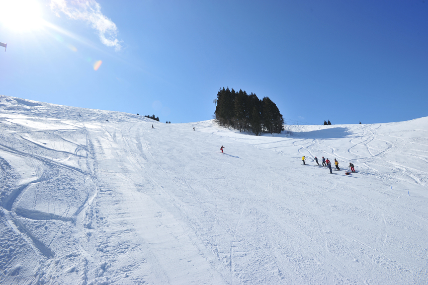 【2025-26冬】【早割30】 ☆30日前までの早期割引 ☆ポイント5倍 ★１泊素泊 ★お子様半額