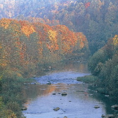 秋の尻別川