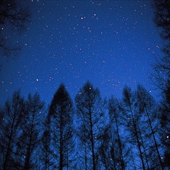 ニセコの星空