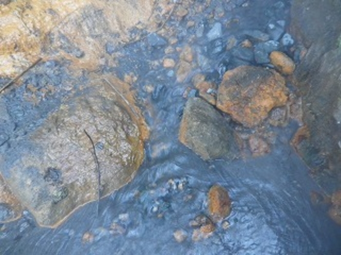 新しく湧き出た温泉