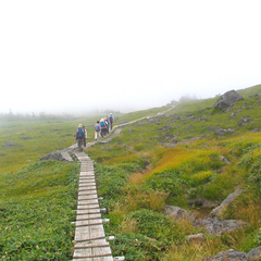 *湿原トレッキング