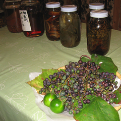 *自家製の果実酒