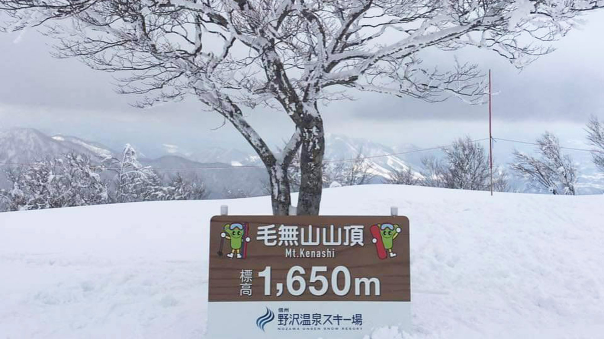 ・【周辺】雪景色（毛無山山頂）