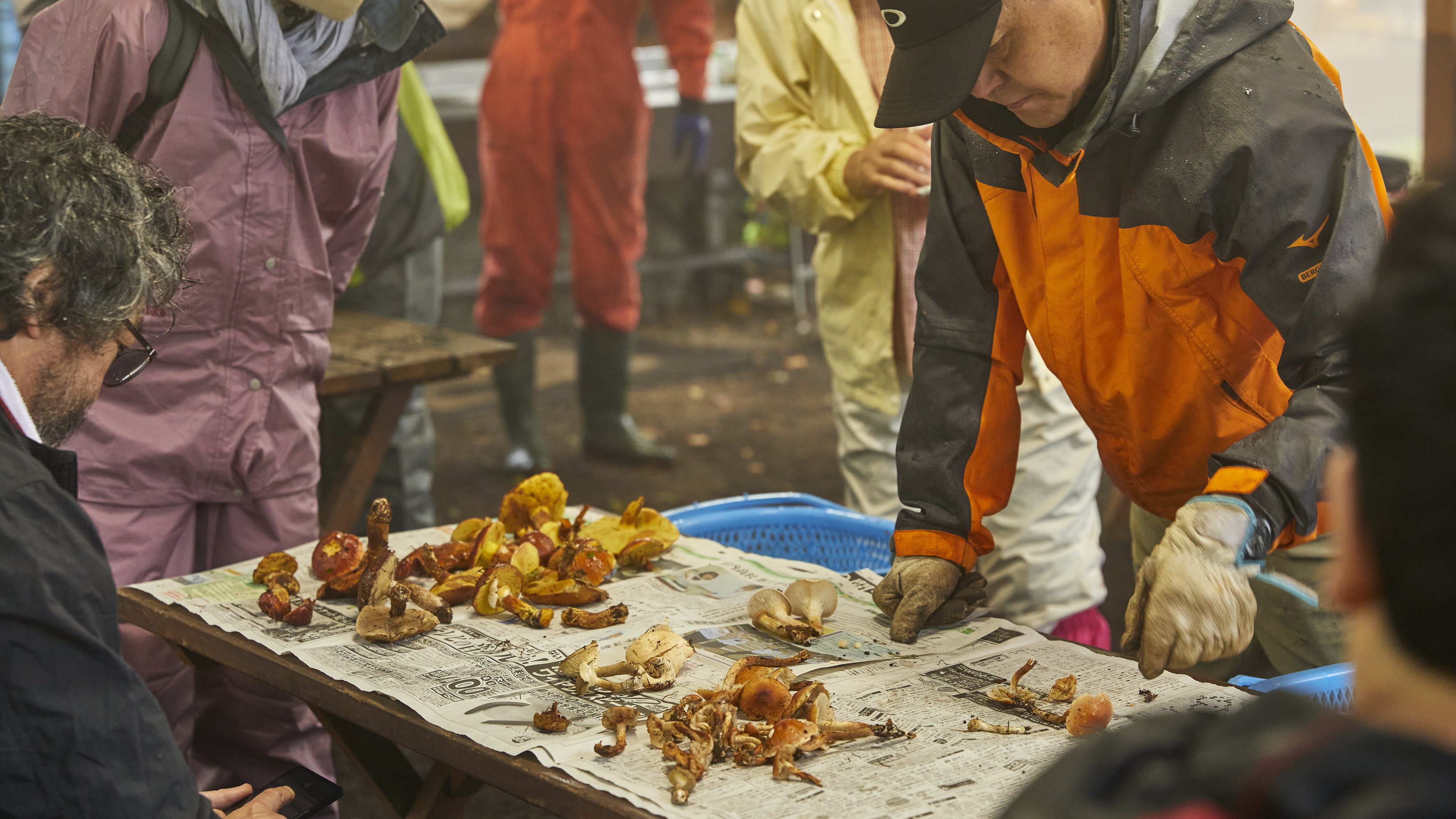 ◆毎年恒例！天狗温泉のきのこ探しツアー