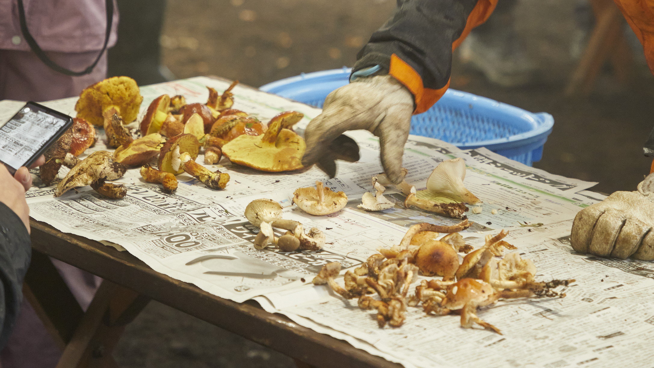 ◆毎年恒例！天狗温泉のきのこ探しツアー