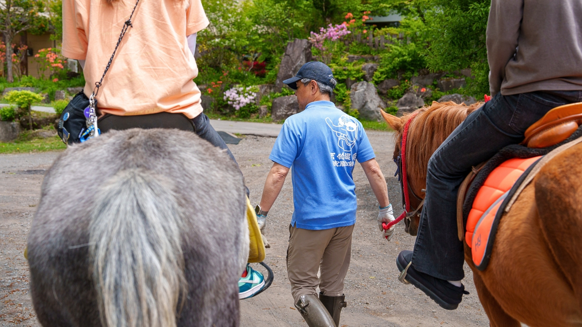 乗馬体験　引き馬