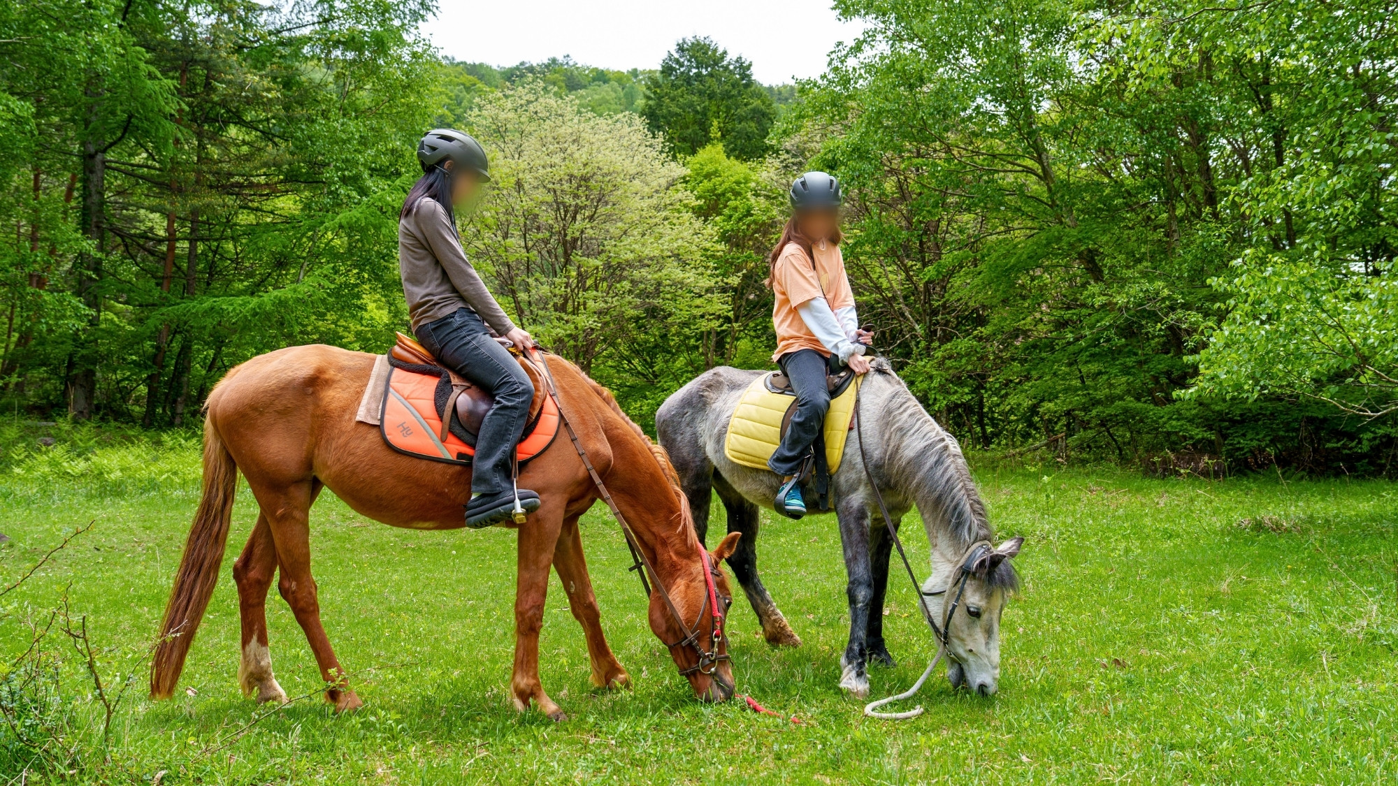 乗馬体験　森の散歩コース