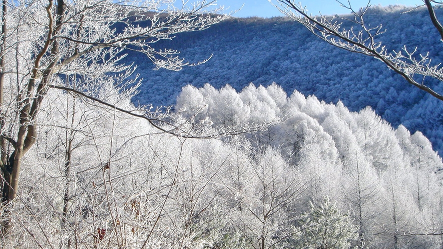 ◆厳しいけれども美しい、浅間山の冬。