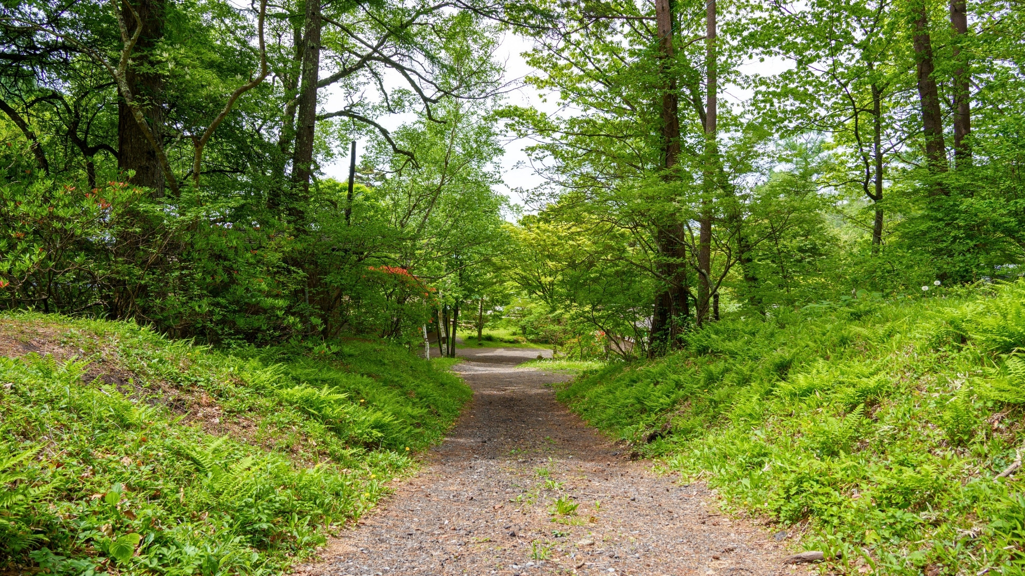 天狗温泉を拠点にして、浅間山登山にお出かけください。