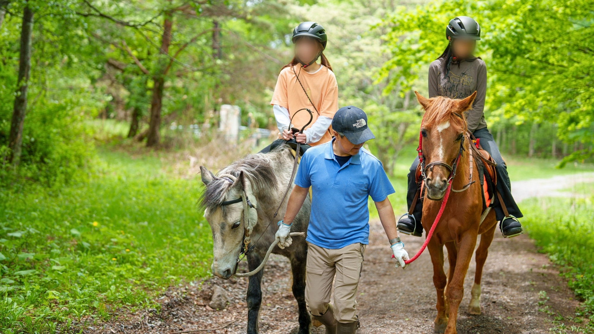 乗馬体験　森の散歩コース