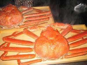 ●ズワイ蟹を食べつくそう『蟹フルコース』 